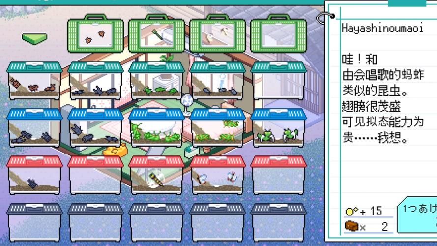 寻找夏日的宝物最新指南 轻松找到属于你的夏日记忆