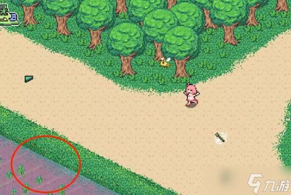 寻找夏日的宝物绅士游戏新手入门技巧与心得