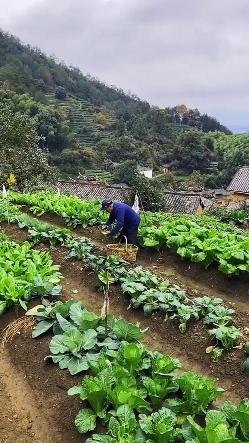 寻找我的乡村生活下载地址 最新版本免费获取