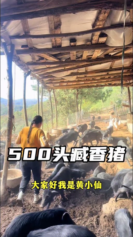 寻找我的乡村生活下载地址 最新版本免费获取