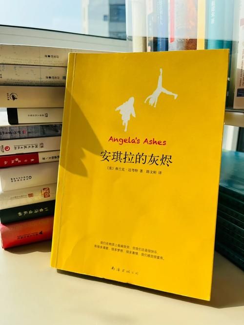 寻找我的早年生活下载地址 这本自传电子版哪里能下