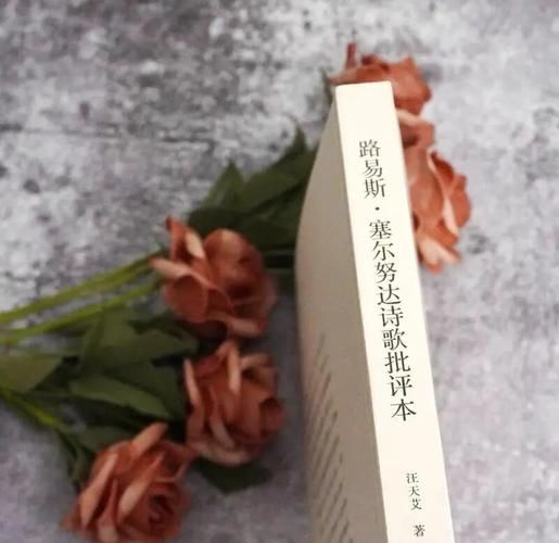 寻找我的早年生活下载地址 这本自传电子版哪里能下