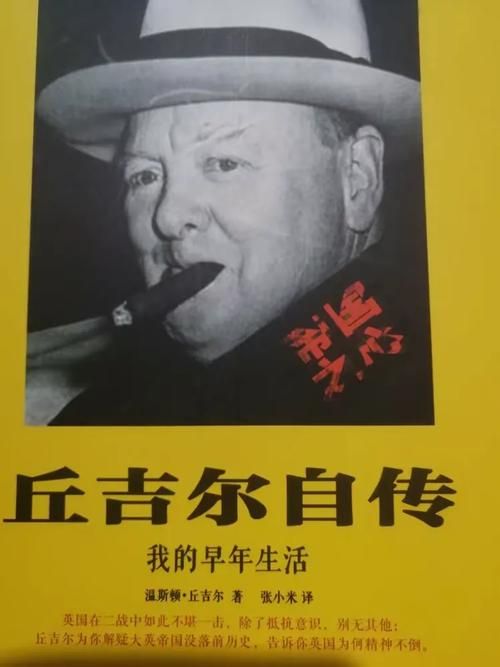 寻找我的早年生活下载地址 这本自传电子版哪里能下