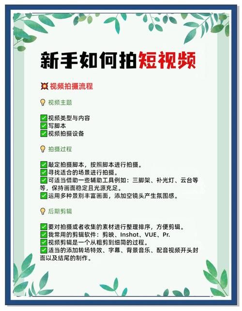 导演请拍摄各种各样的我如何下载 详细步骤解析