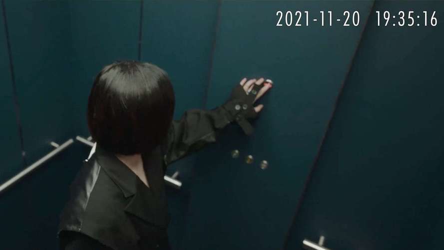 导演请拍摄各种各样的我如何下载 详细步骤解析