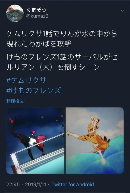导演请拍摄各种各样的我安卓汉化游戏攻略大全