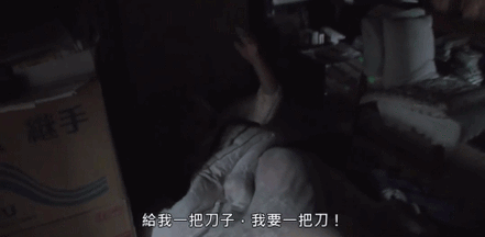 导演请拍摄各种各样的我最新版本是多少快来了解最新动态