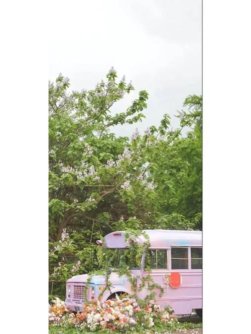 小十七11部合集下载指南 手机电脑都能用