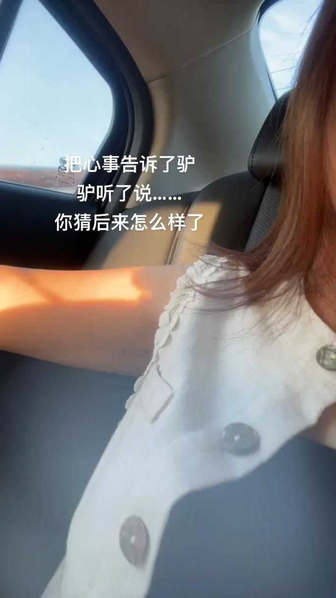 小十七11部合集在哪能下载 完整资源获取方法