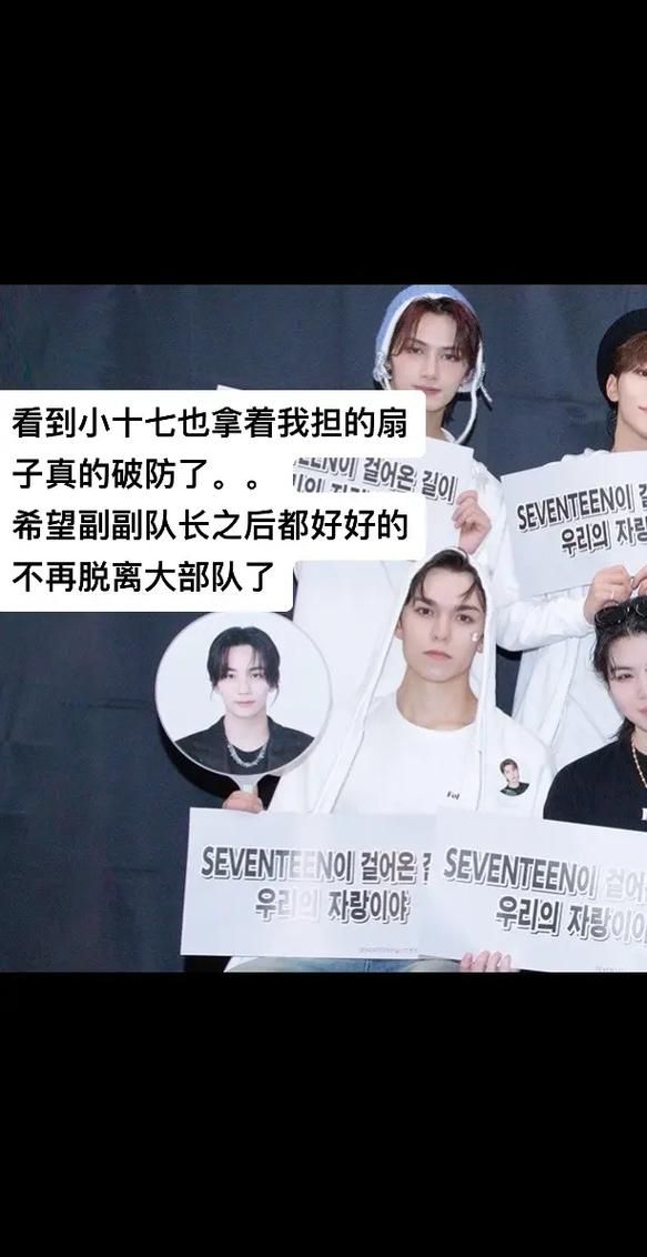 小十七11部合集最新版本高清资源免费分享