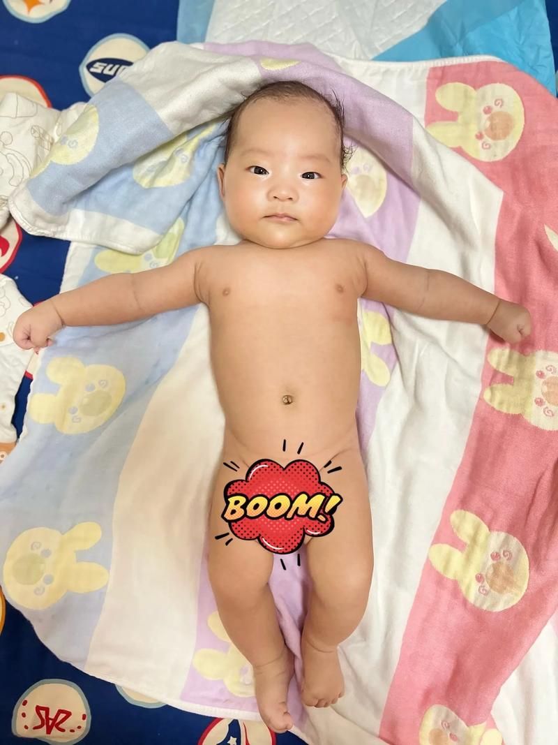 小十七11部合集最新版本高清资源免费分享
