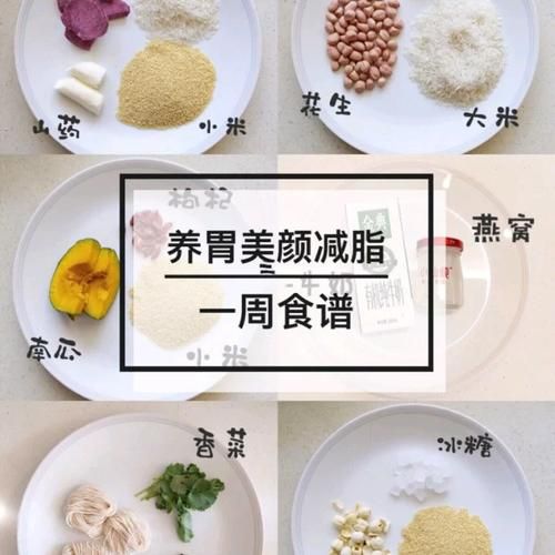 小粥姐妹的黏膜游戏介绍 新手必看攻略与技巧