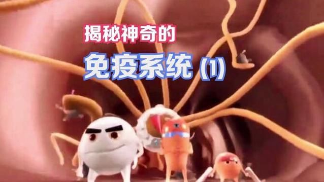 小粥姐妹的黏膜游戏最新更新内容抢先看
