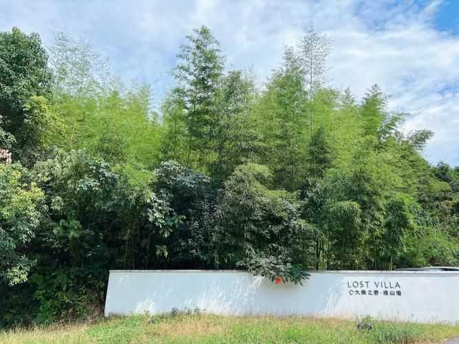 小绿山下载地址2025最新版 附详细安装步骤图解