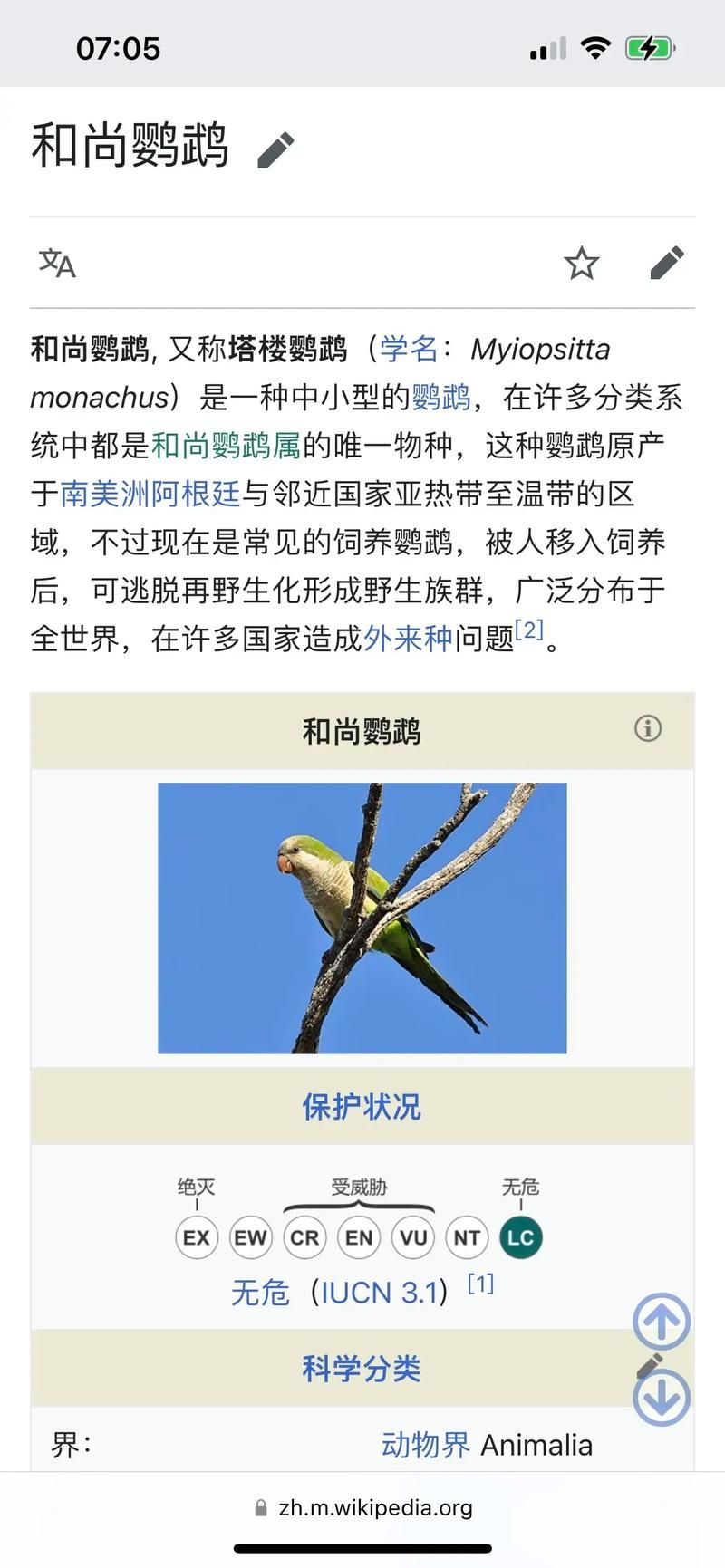 小绿山下载地址2025最新版 附详细安装步骤图解