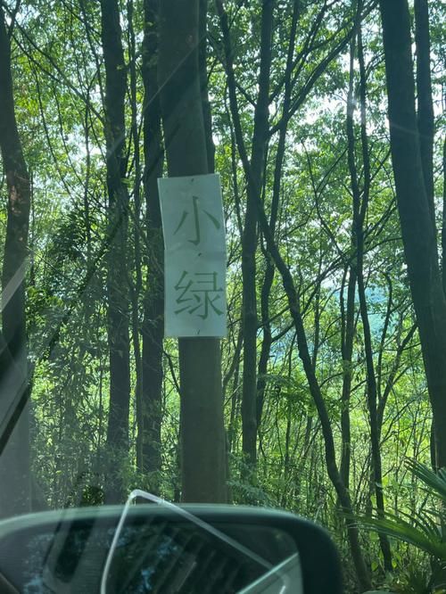 小绿山在哪下载 详细步骤教你轻松获取