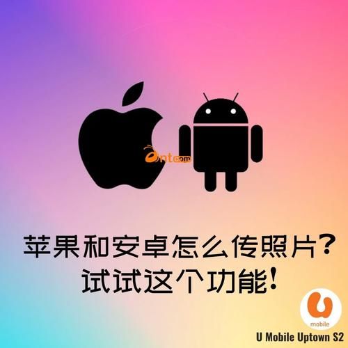 小绿山安卓和苹果版对比 哪个更适合你