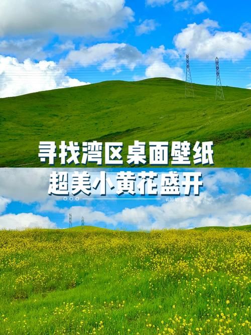 小绿山官方网站有哪些功能 详细使用教程来了