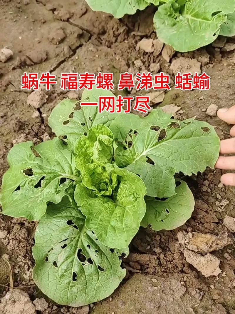小绿山官网最新活动优惠信息一网打尽