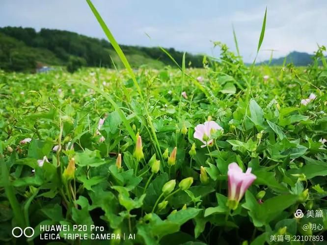 小绿山官网最新活动优惠信息一网打尽