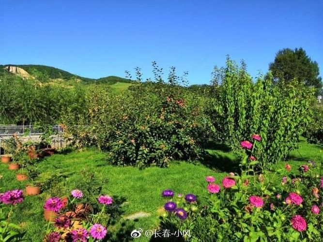 小绿山更新地址变了快来查看最新访问方式