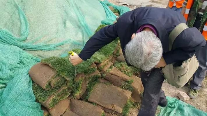 小绿山更新地址变了快来查看最新访问方式