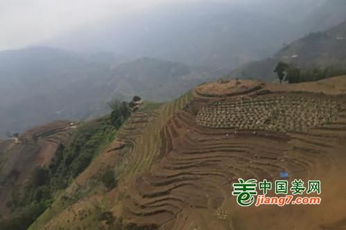 小绿山更新地址变了快来查看最新访问方式