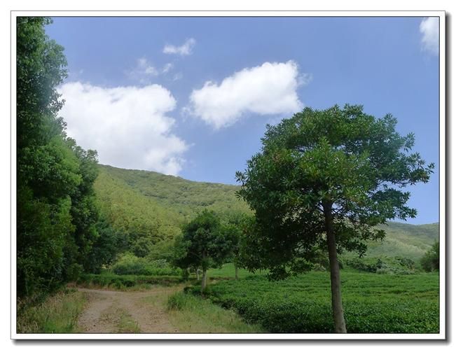 小绿山最新规划出炉周边居民都在关注