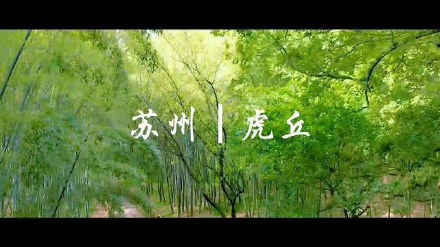 小绿山游戏下载速度快 免费无广告绿色版本获取