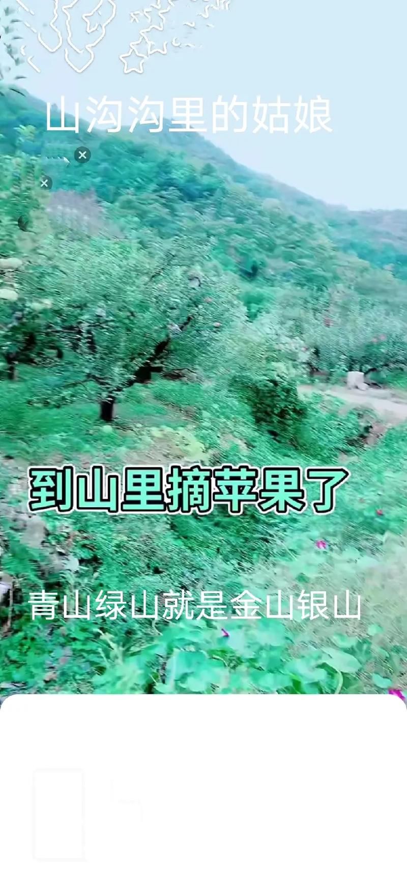 小绿山游戏攻略大全 新手必看通关技巧分享