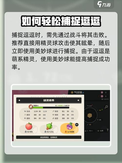 小逗逗最新版本是多少 快速获取最新版本教程
