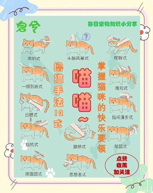 小野猫N上如何下载 简单步骤解析