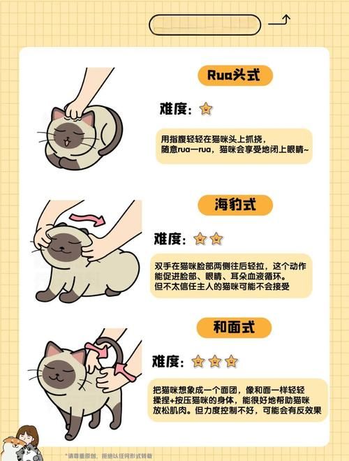 小野猫N上如何下载 简单步骤解析