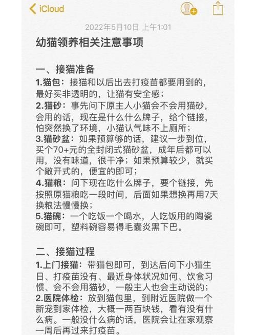 小野猫N上如何下载 简单步骤解析