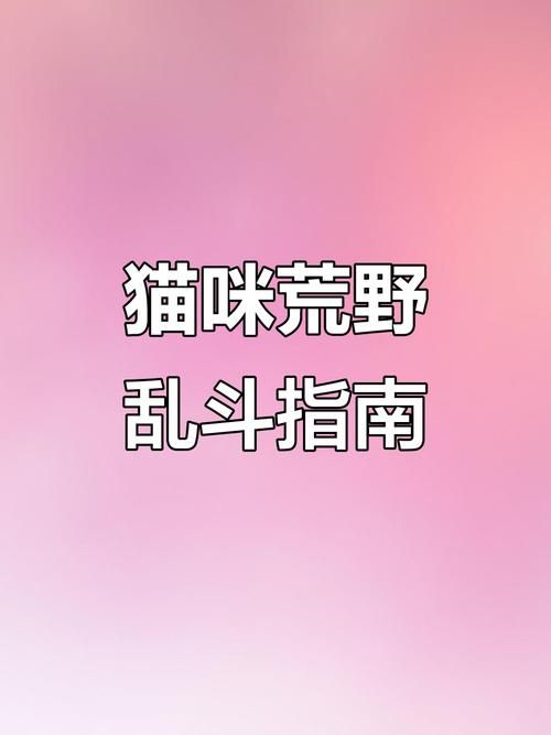 小野猫N上安卓下载安装教程 手把手教你轻松搞定