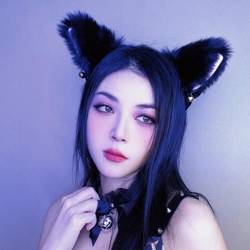 小野猫N上官方正式版下载最新版一键获取方法分享