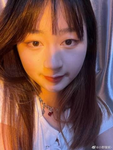 小野猫N上官方正式版下载最新版一键获取方法分享