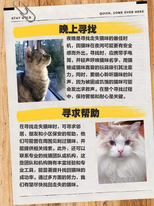 小野猫N上官方网站最新链接收藏备用防丢失