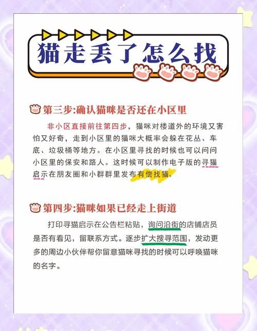 小野猫N上官方网站最新链接收藏备用防丢失