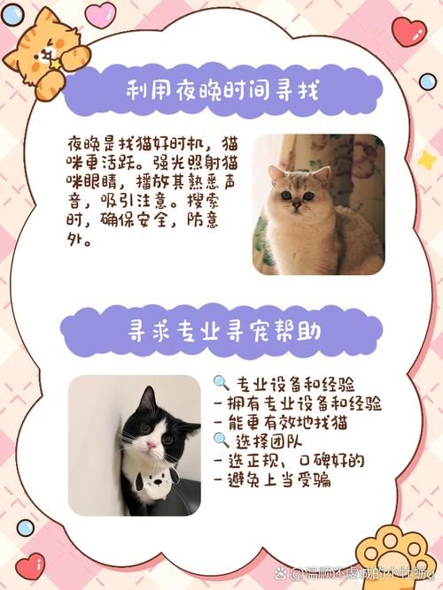 小野猫N上官方网站最新链接收藏备用防丢失