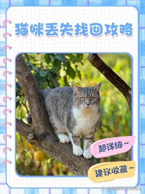 小野猫N上官方网站最新链接收藏备用防丢失