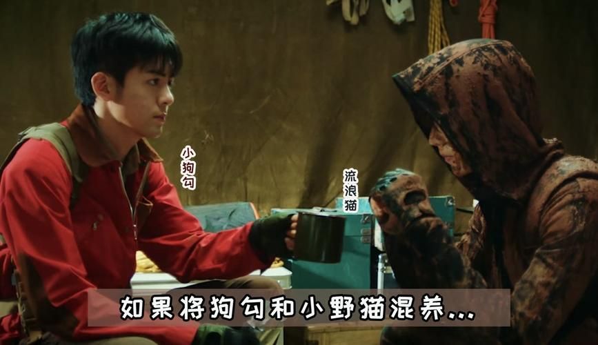 小野猫N上最新版本是多少 更新内容有哪些