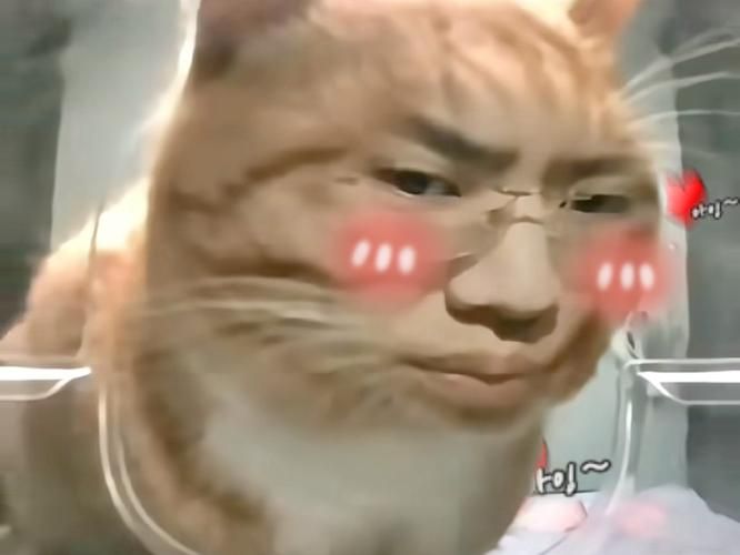 小野猫N上最新视频流出网友直呼太惊艳了