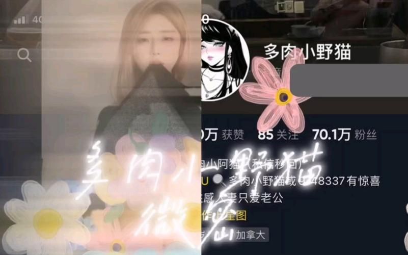 小野猫N上汉化版下载资源分享最新地址