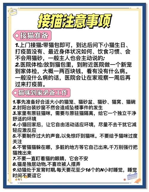 小野猫N上游戏攻略常见问题解决方法汇总