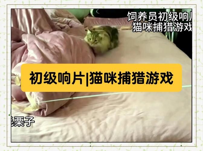 小野猫N上游戏攻略常见问题解决方法汇总