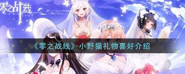 小野猫N上游戏攻略常见问题解决方法汇总