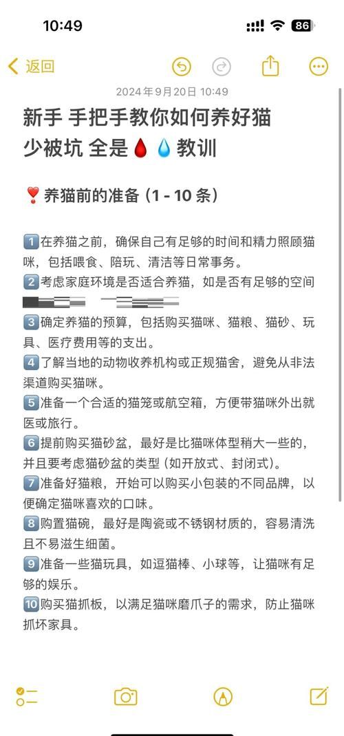 小野猫N上游戏攻略常见问题解决方法汇总