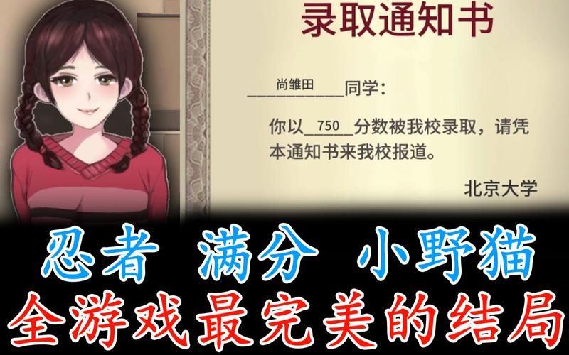 小野猫N上游戏攻略常见问题解决方法汇总