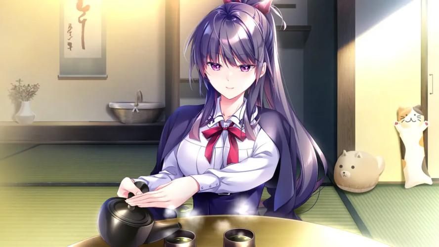少女之剑与秘密的协奏曲更新地址怎么获取
